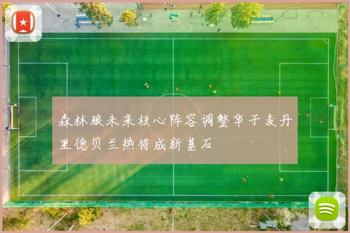森林狼未来核心阵容调整华子麦丹里德贝兰热将成新基石